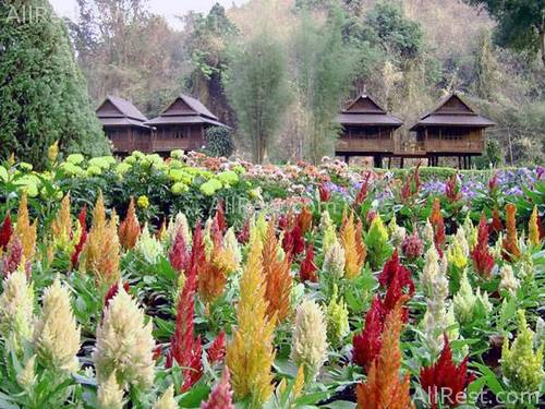 Lanna Resort 6